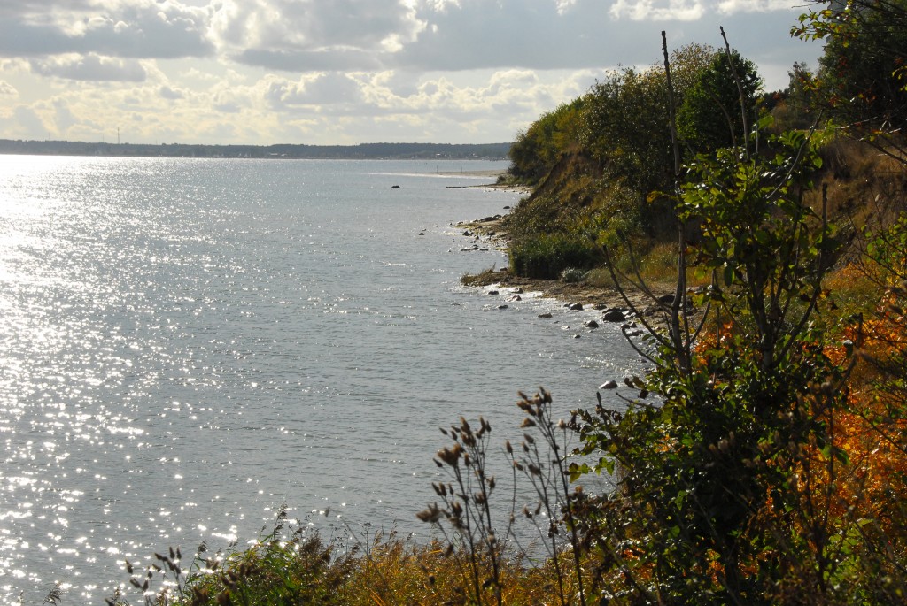 Das Meerforellenrevier direkt vor dem Ferienhaus Ostseeblick Das Meerforellenrevier direkt vor dem Ferienhaus Ostseeblick